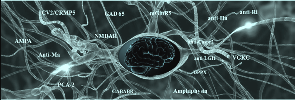 https://e-neurologos.gr/aytoanosi-egkefalitida-aytoanosi-anoi/